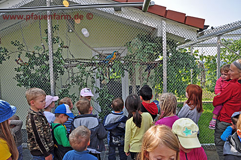 13_kindergarten_besuch_001