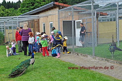 13_kindergarten_besuch_005