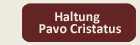 button_klein_haltung_pc_aktiv